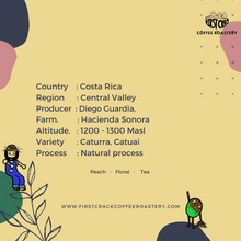 Load image into Gallery viewer, Costa Rica Hacienda Sonora Central Valley