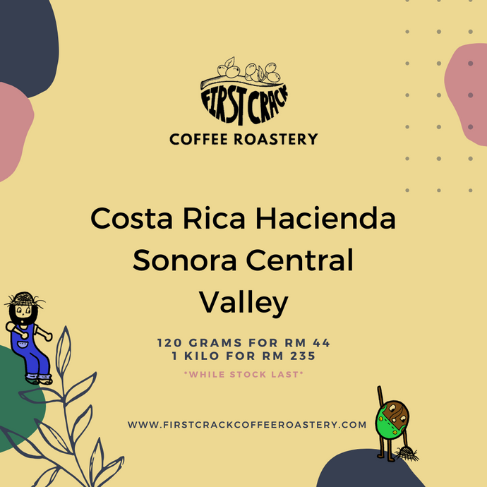 Costa Rica Hacienda Sonora Central Valley