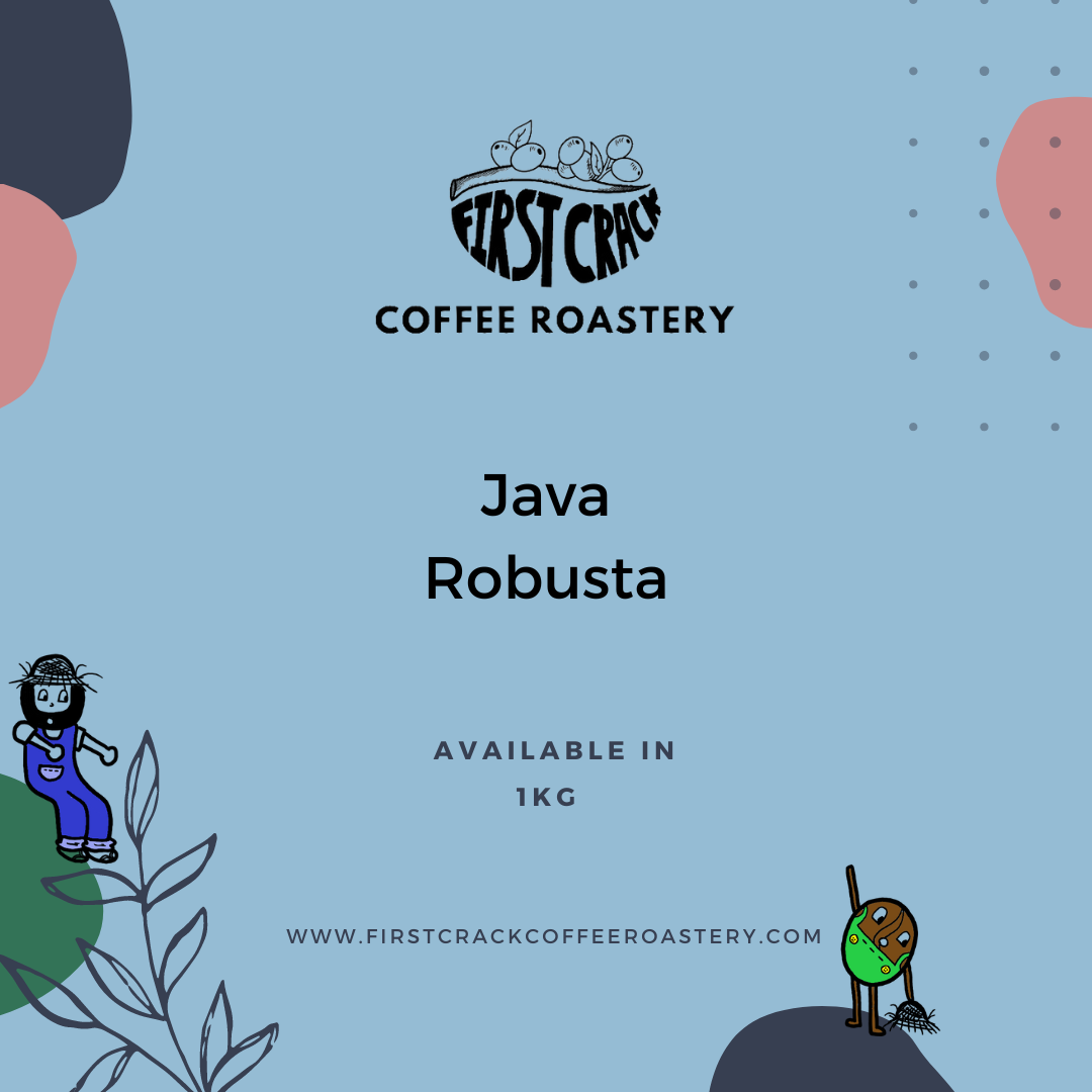 Java Robusta – First Crack Coffee Roastery